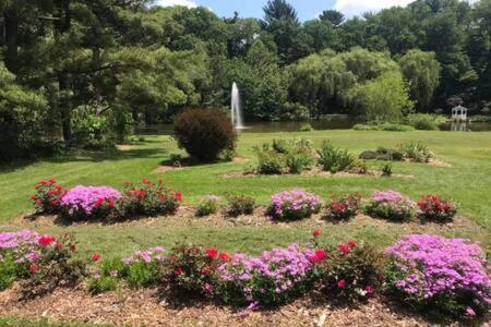 Beautiful Downstairs 1Bed 1Bth Charmer- Pet Friendly Michigan Stadt Exterior foto